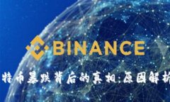区块链与比特币暴跌背后